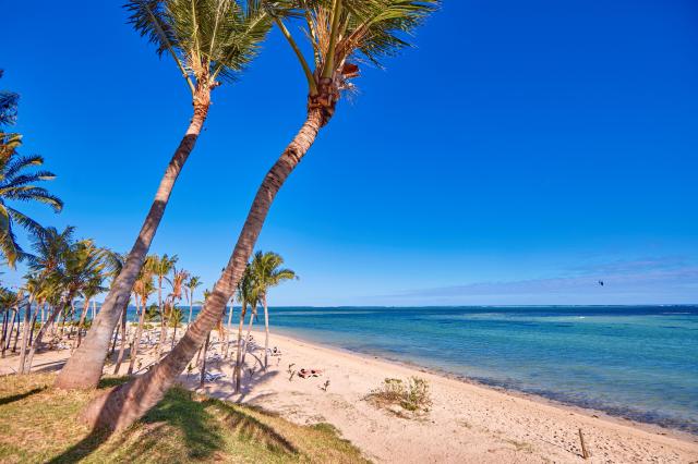 Hotel RIU Turquiose