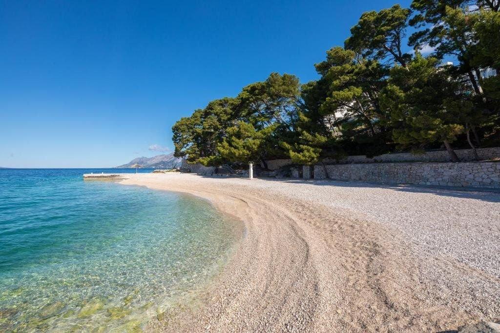 Bluesun Mala Berulia