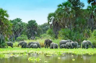 Divoká příroda Afriky & Hotel Sultan Sands Island Resort