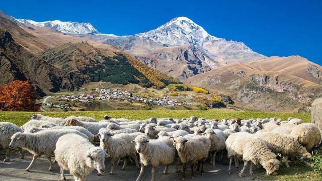 Turistika v Gruzii