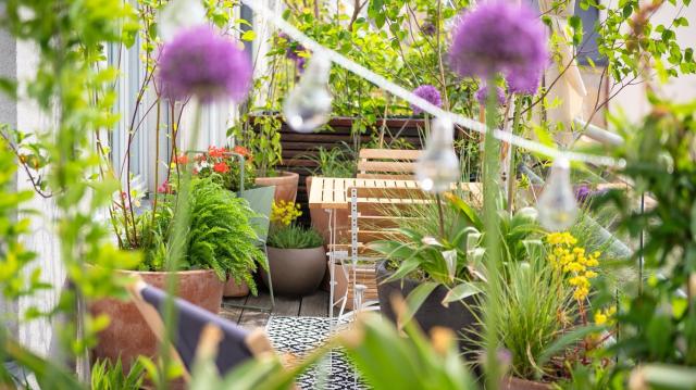 Mosaic House Design Hotel