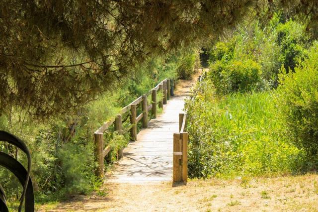 Camping Club degli Amici