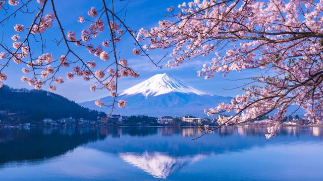 Mt. Fuji