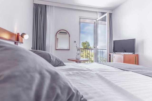 Wellness & Spa Hotel Horizont