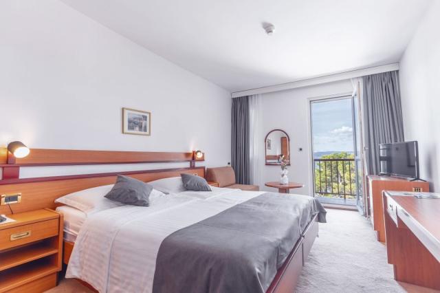Wellness & Spa Hotel Horizont