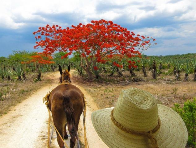 Tajemství Mayů a kouzlo Yucatánu