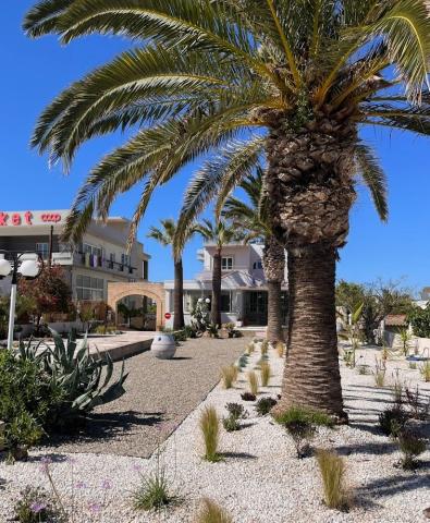 Hotel Venus Beach