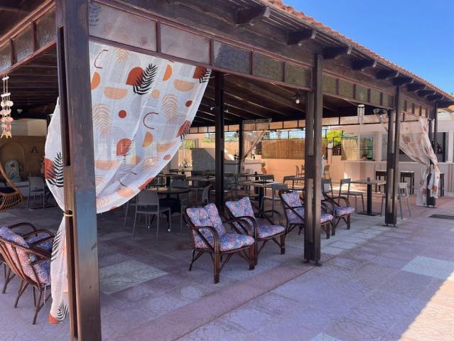 Hotel Venus Beach