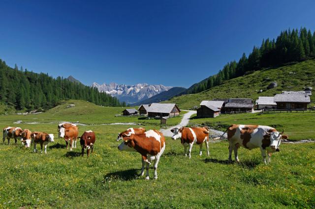 Hotel Gut Raunerhof
