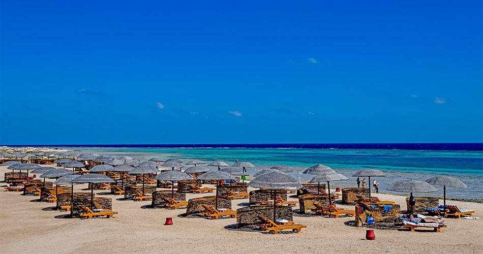 Gorgonia-Beach-2023-BEACH-02