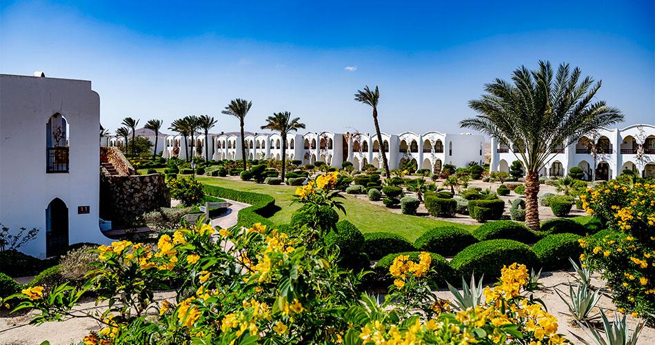 Gorgonia-Beach-2023-GARDEN
