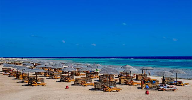 Gorgonia-Beach-2023-BEACH-02