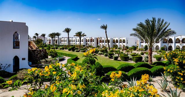 Gorgonia-Beach-2023-GARDEN