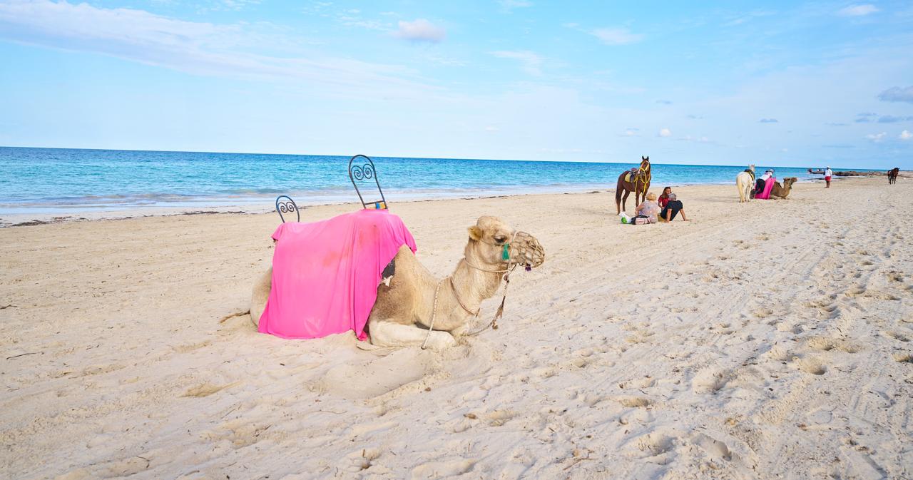Meridiana-2024-BEACH-02