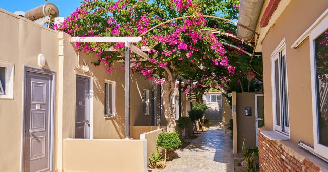 Sacallis-Inn-HOTEL-02-2024