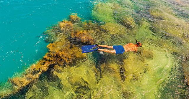 Three-Corners-Fayrouz-Plaza-Beach-Resort-2023-SNORKELING