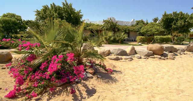 Shams-Safaga-BEACH2