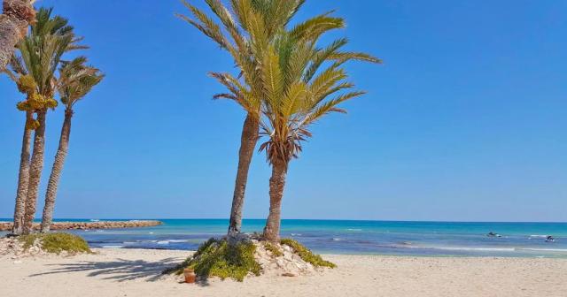 Vincci-Helios-Beach-2025-BEACH