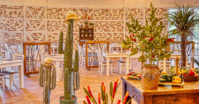 Dit-Evrika-Beach-Club-MEXICAN-RESTAURANT-2025
