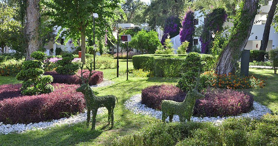 Emelda-Sun-Club-GARDEN-2021-02