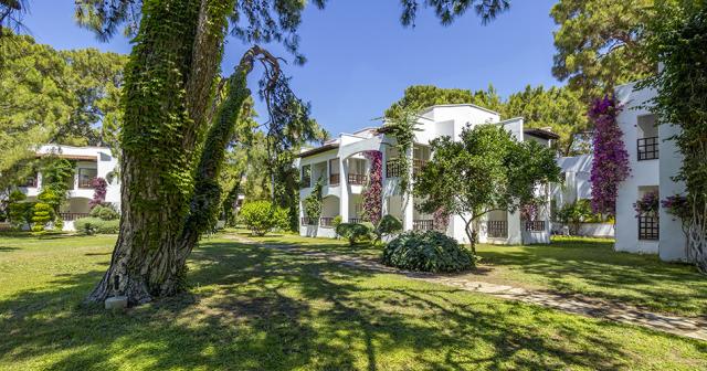 Emelda-Sun-Club-GARDEN-2022-01