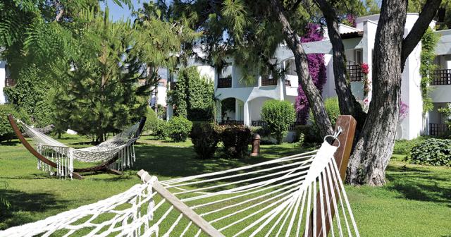 Emelda-Sun-Club-GARDEN-2021