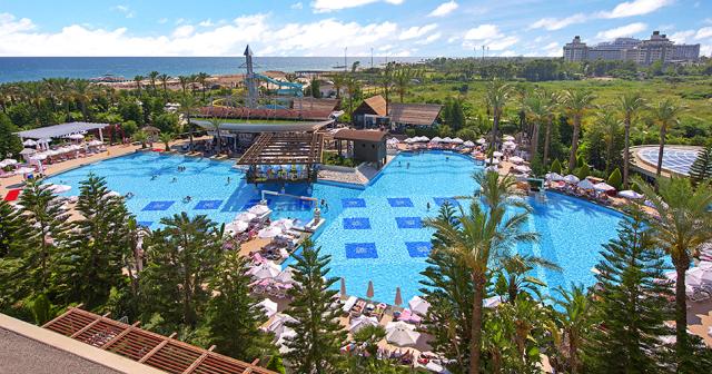 Delphin-Diva-POOL-2