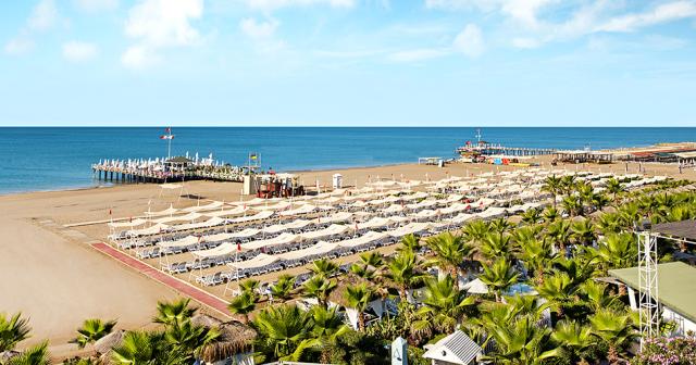 Delphin-Diva-BEACH