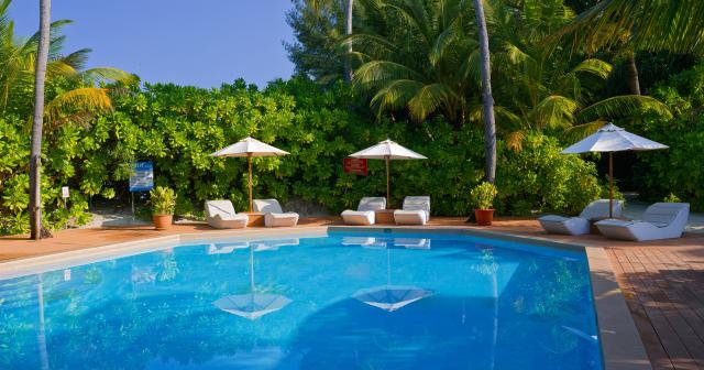Safari-Island-Resort-2025-POOL-01