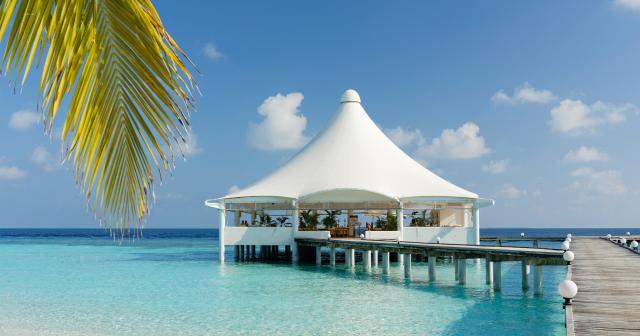 Safari-Island-Resort-2025-BAR-03