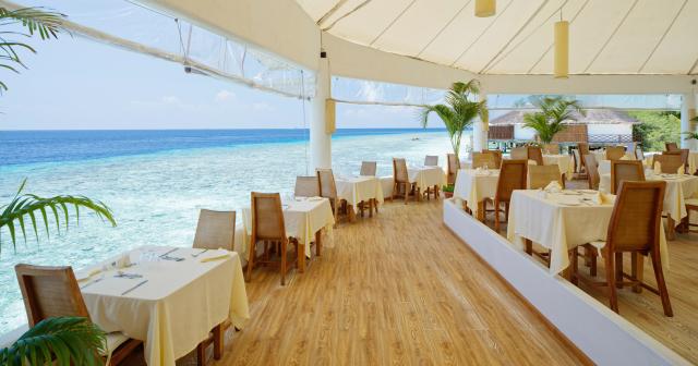 Safari-Island-Resort-2025-RESTAURANT-03