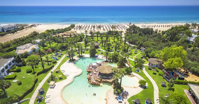 Sentido-Phenicia-OVERVIEW