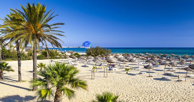 Sentido-Phenicia-BEACH