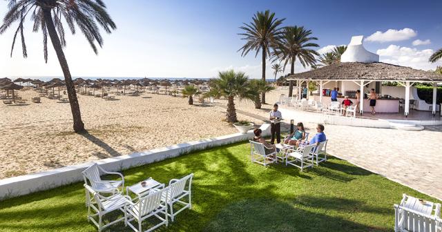 Sentido-Phenicia-BLUEBAR