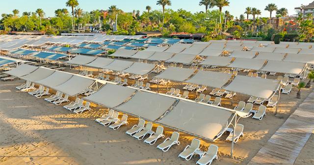 Royal-Dragon-2024-BEACH