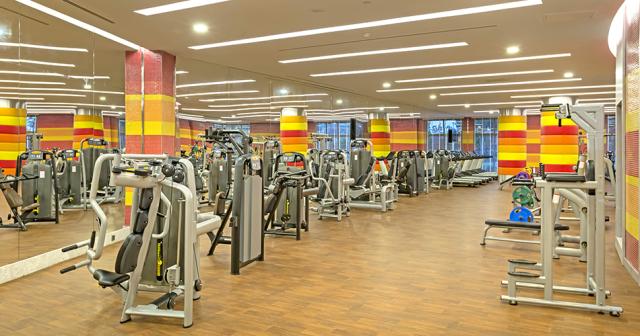 Royal-Seginus-FITNESS