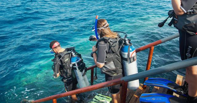 Life-Resort-Coral-Hill-2025-DIVING