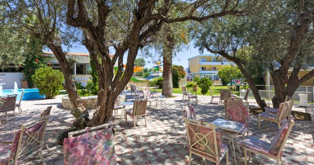 Golden-Odyssey-TERRACE-2025-02