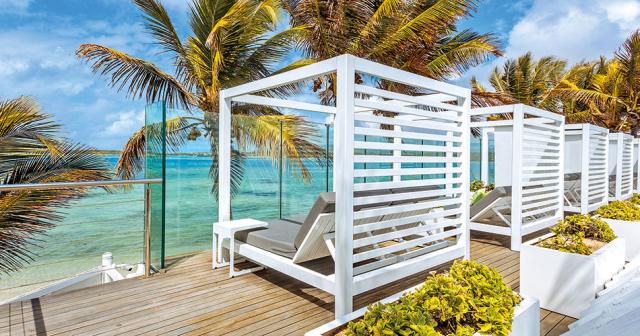 Tropical-Attitude-SUNBED