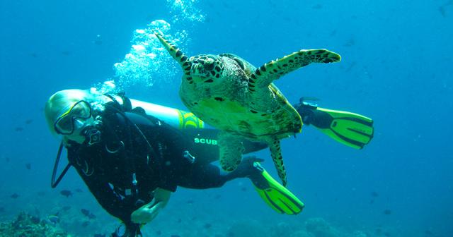 Adaaran-Select-Meedhupparu-DIVING-2019