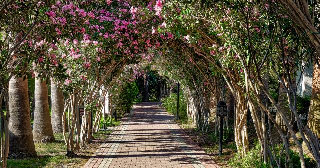 Seaden-Sea-World-Resort-and-Spa-GARDEN-2025