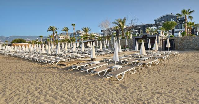 Kaila-Beach-BEACH-2025-NEW