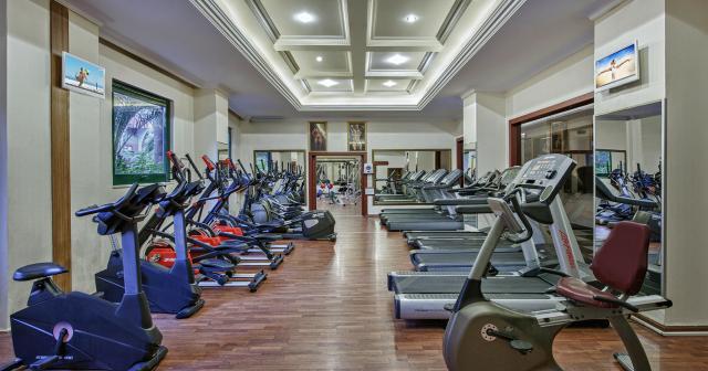 Delphin-Deluxe-GYM-2024-NEW