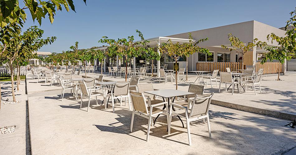 Caretta-Island-2024-TERRACE