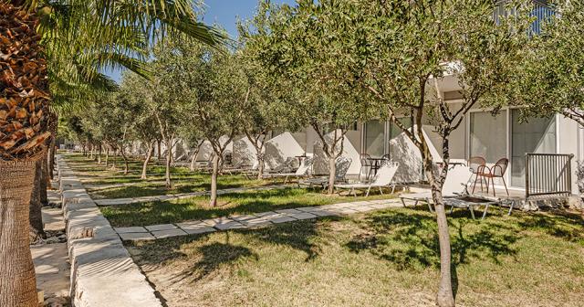 Caretta-Island-2024-GARDEN