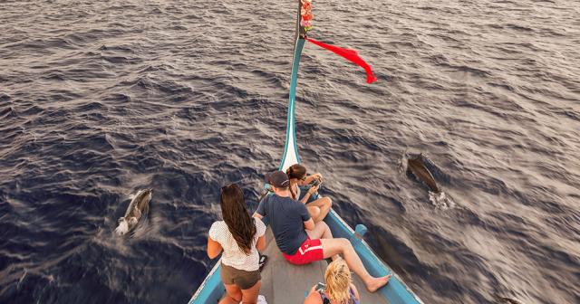 Malahini-Kuda-Bandos-BOAT-TRIP