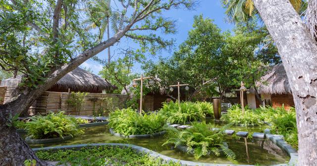 Malahini-Kuda-Bandos-GARDEN
