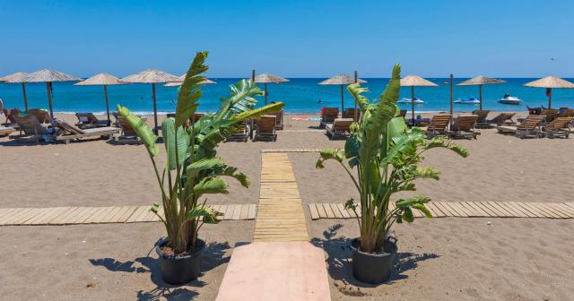 Sun-Palace-BEACH-2025-02