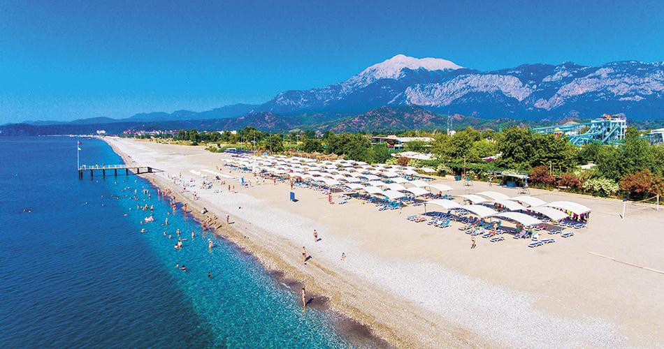 Daima-Biz-BEACH