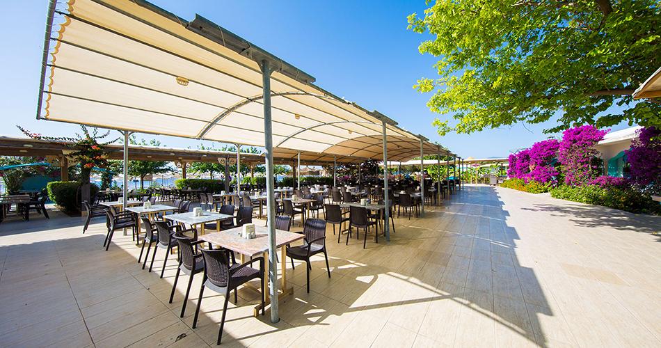 Daima-Biz-RESTAURANT-02